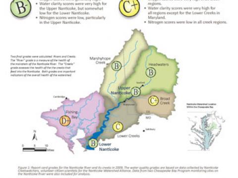 Nanticoke River report card