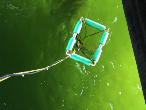 Reserve Battery Deployed at the CBL Research Pier
