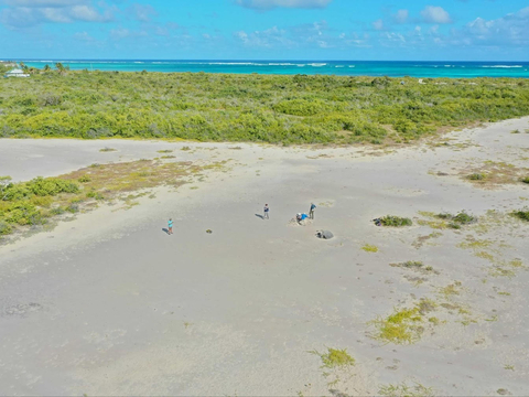 a drone photo shows a tropical island, Anegada, from above with small figures pictured standing beside one of the stranded coral boulders on the beach.