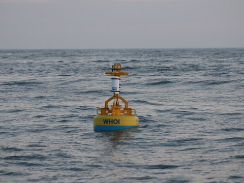 Buoy in ocean