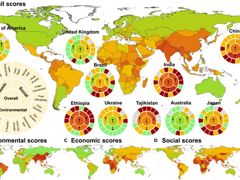 Graphic showing agriculture matix across the world