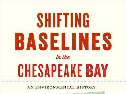 cover of the book Shifting Baselines by Vic Kennedy