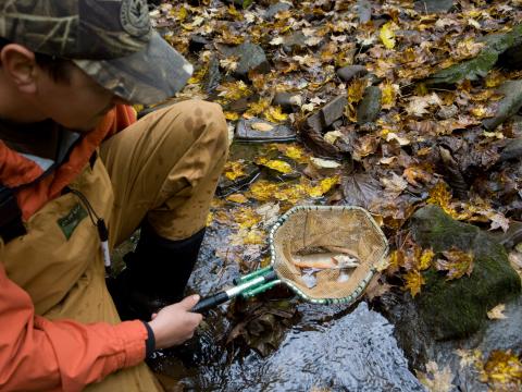 FSU Wildlife Fisheries