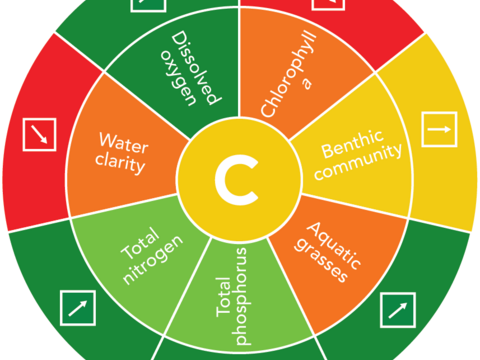 Chesapeake Bay Report Card Watershed graphic