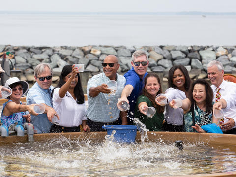 A group of politicians and UMCES' community splash oyster spat into a setting tank