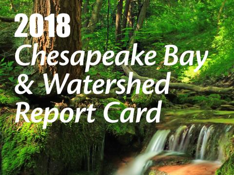 cover of the 2018 Chesapeake Bay report card