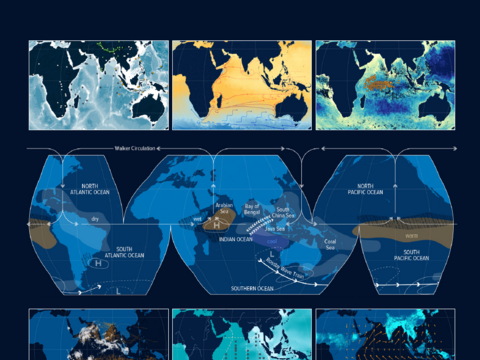 Book cover ofThe Indian Ocean and Its Role in the Global Climate System.