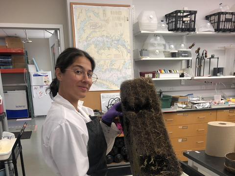 Isabel Sanchez holding a piece of holding wetlands in the lab