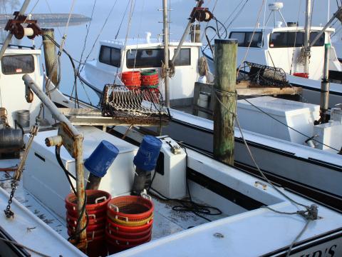 Oyster boats at dock