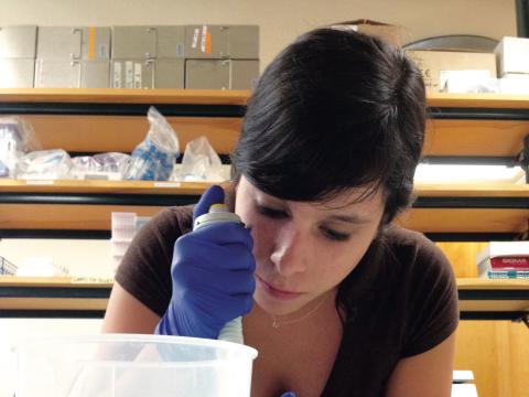 Graduate student Ana Sosa analyzing microorganisms on plastics in the lab.