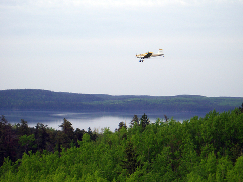 Plane over a forest spraying mercury 