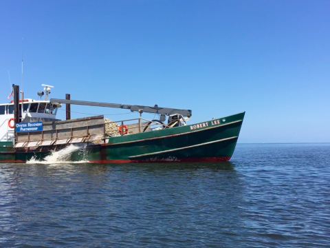 Robert Lee boat dumping oyster spat into Harris Creek