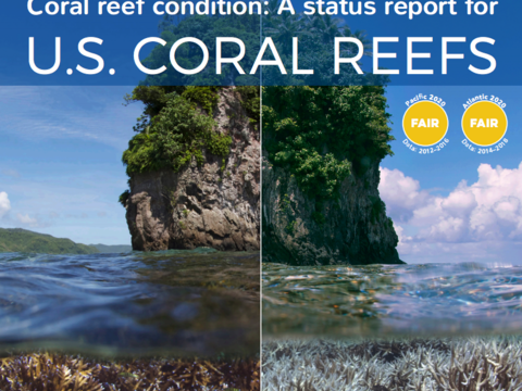front page of US coral reports