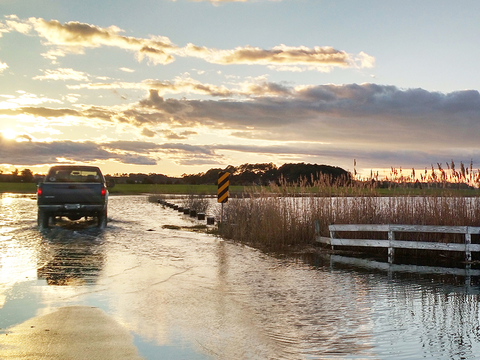 High tide in Dorchester County, Maryland