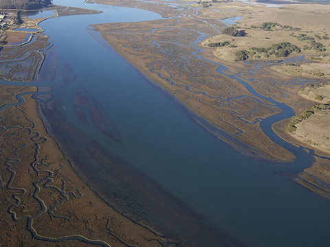 An estuary photo, provided by NOAA.