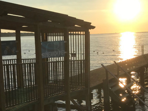 Chesapeake Biological Lab pier