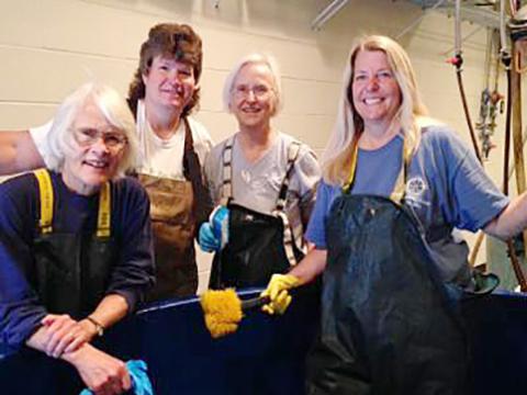 Volunteers from Horn Point 