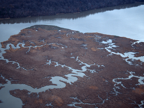 Aerial view of Chesapeake Bay marshes in the winter. 