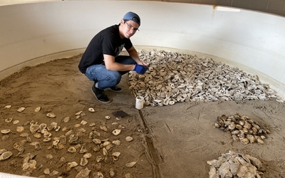 Alan Williams in an oyster tank surrounded by shells