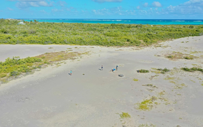 a drone photo shows a tropical island, Anegada, from above with small figures pictured standing beside one of the stranded coral boulders on the beach.