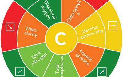 Chesapeake Bay Report Card Watershed graphic