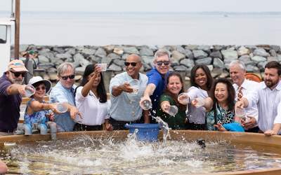 A group of politicians and UMCES' community splash oyster spat into a setting tank