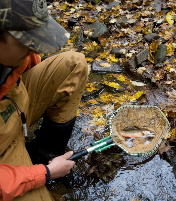 researcher holding a fish in a net