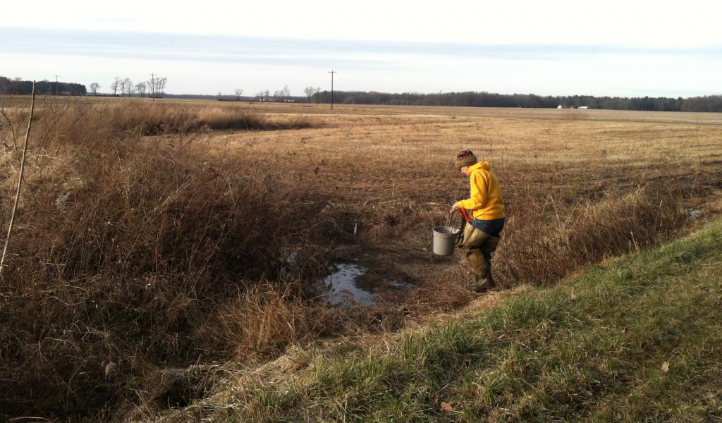 person gathering samples with a bucket
