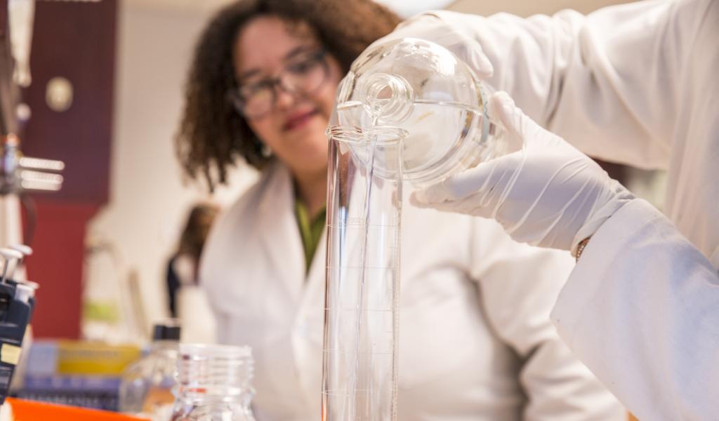 scientists working in the lab