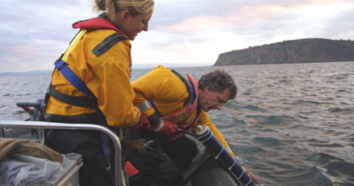 Are Offshore Windfarms Impacting Dolphins University Of Maryland