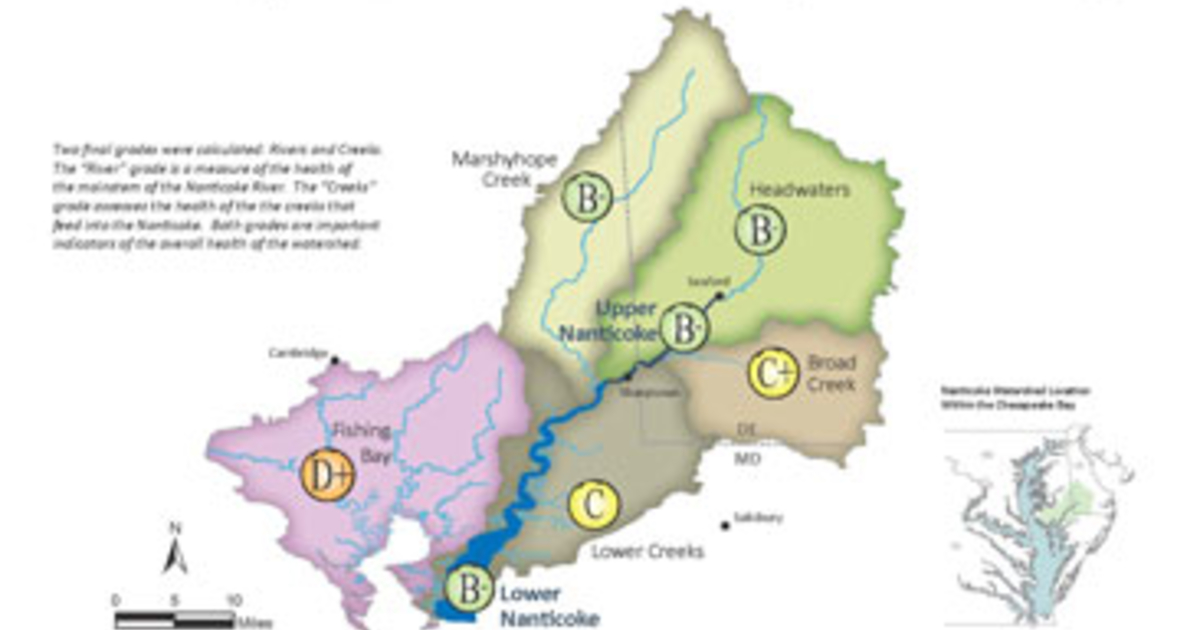 Nanticoke River Earns “Bminus” in Inaugural Report Card University