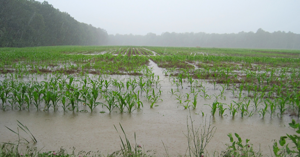 Climate change reveals itself through shifts in Maryland ...