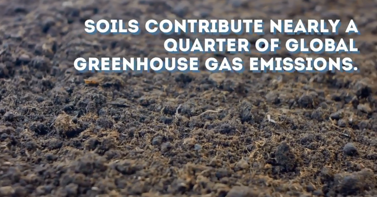 Improving our understanding of greenhouse gases consumed and produced