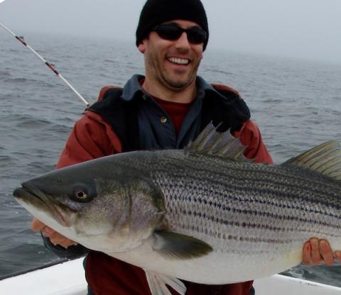 UMCES' Chesapeake Biological Laboratory alumnus Adam Peer holds a striped bass (rockfish).