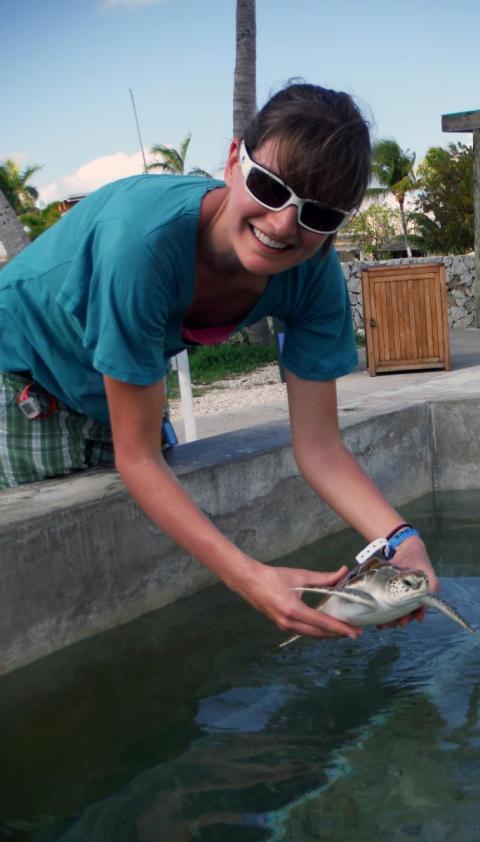 Aimee Hoover holds up a turtle during a research trip to the Cayman Islands.