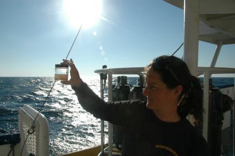 Brianne Walsh takes zooplankton sample from the Gulf of Mexico to investigate what is able to eat the red tide organism Karenia brevis.