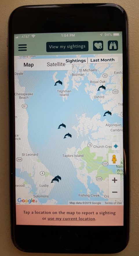 Chesapeake DolphinWatch app displayed on phone