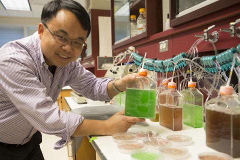 Feng Chen holds algae in his lab.