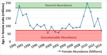 The female crab population nearly tripled from 2008-2010, but in 2011, crab numbers began to fall. Image by Tom Miller