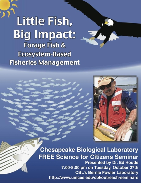 Poster promoting Little Fish: Big Impacts seminar