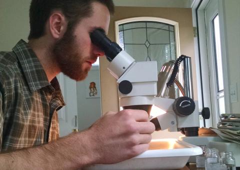 Graduate student Jacob Oster peers through a microscope