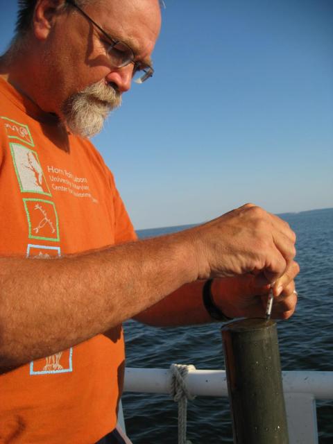 Study lead Jeff Cornwelll sampling a sediment core from the Chesapeake Bay.