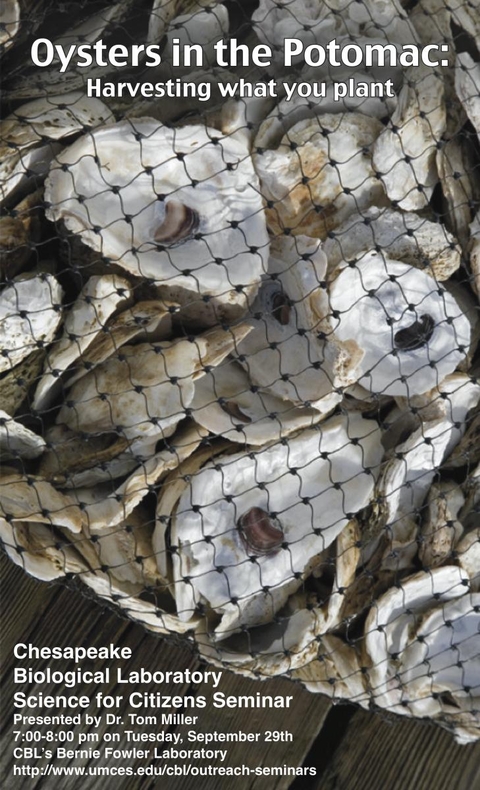 Poster promoting Oysters in the Potomac seminar