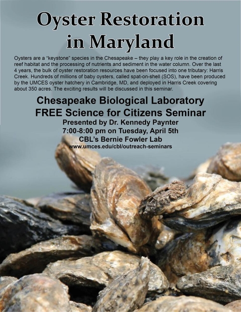 Poster promoting Paynter Oyster Restoration seminar