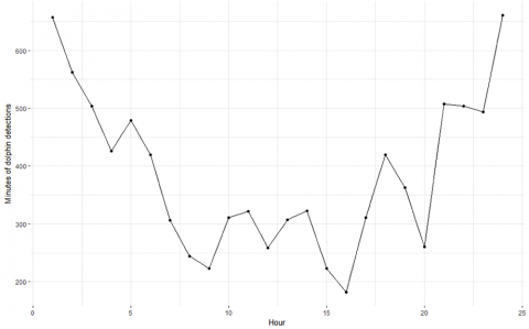 This graph shows how many dolphins were detected at different times of the day. 