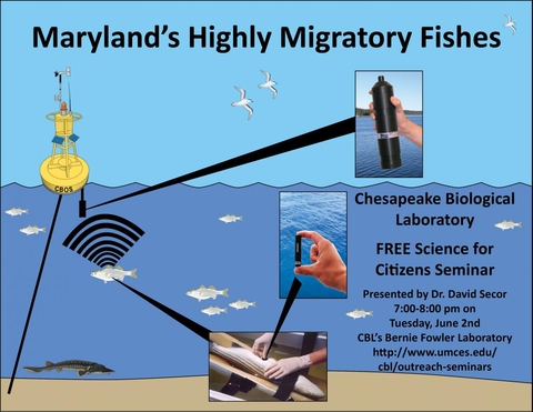 Poster promoting Maryland's Migratory Fish seminar