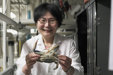 Prof Sook Chung with blue crab at IMET, Baltimore.