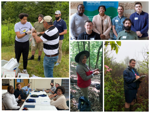 collage of summer 2022 interns in field and in laboratory 