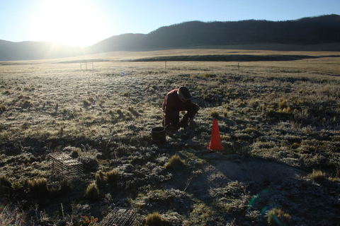 John Hoogland in the field with prairie golds