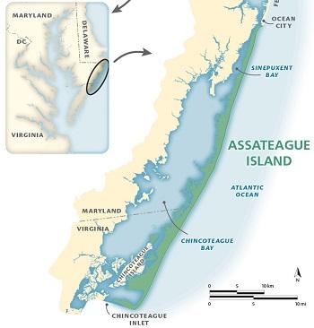 Chincoteague Bay Image courtesy of TeachOceanScience.net